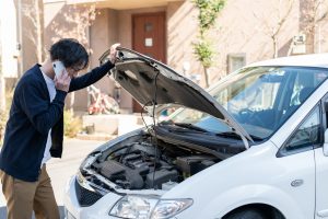 株式会社インターナショナルトラストの損害保険代理業のイメージ